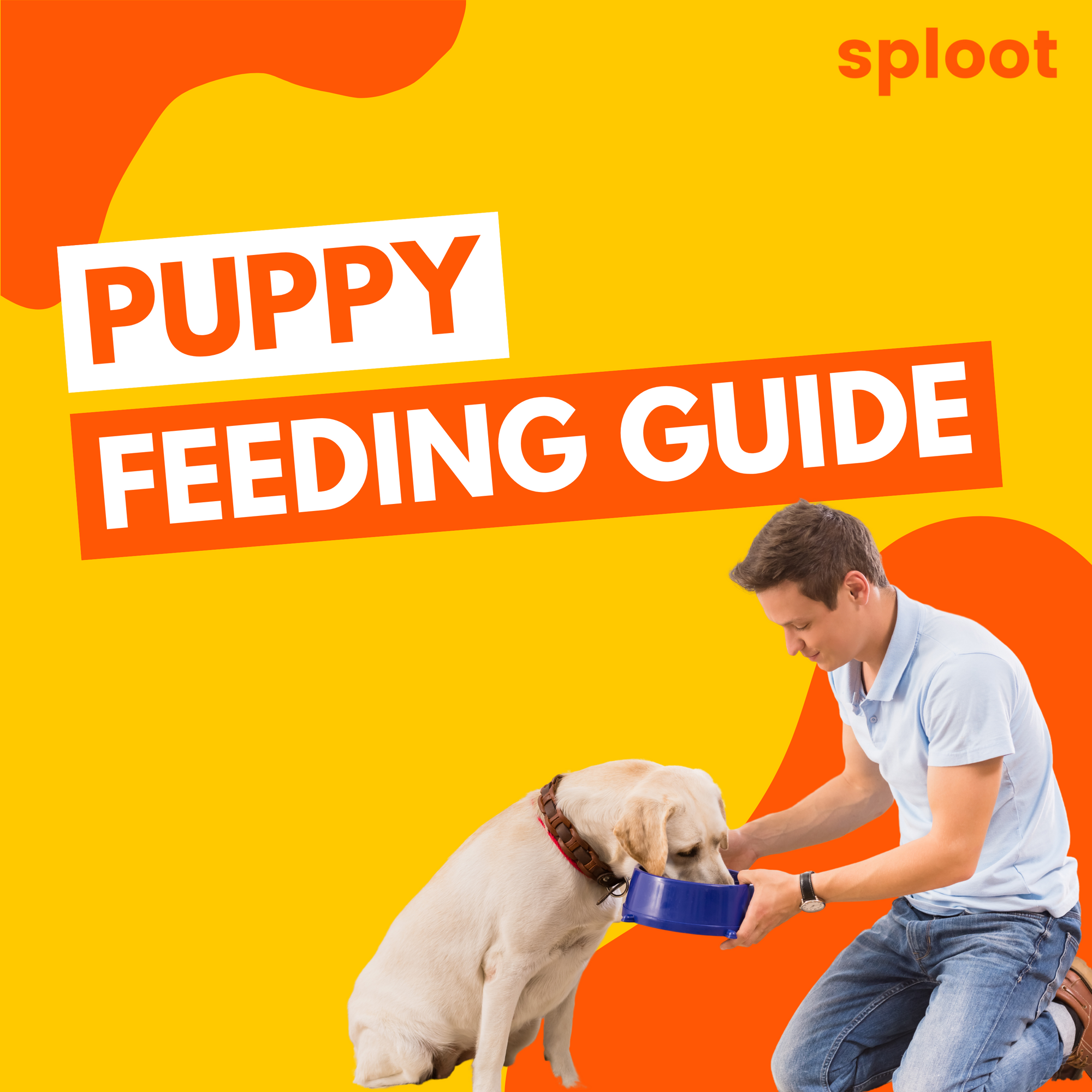 Canidae hotsell feeding chart