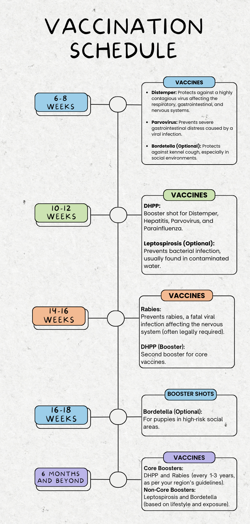 Dog Vaccination Schedule. A Guide for Every Dog Owner