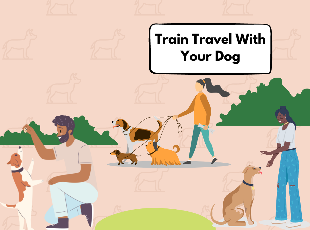 Ultimate Guide on Train Travel With Your Dog