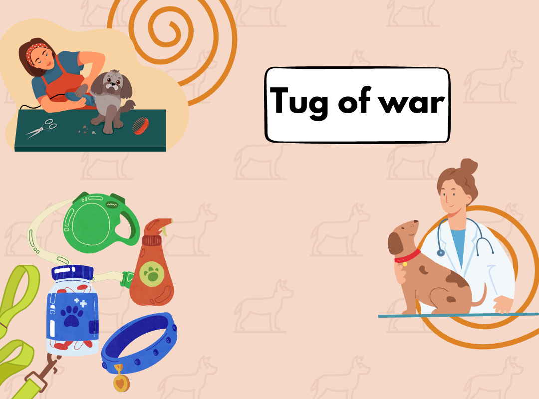 Dog friendly games: tug of war