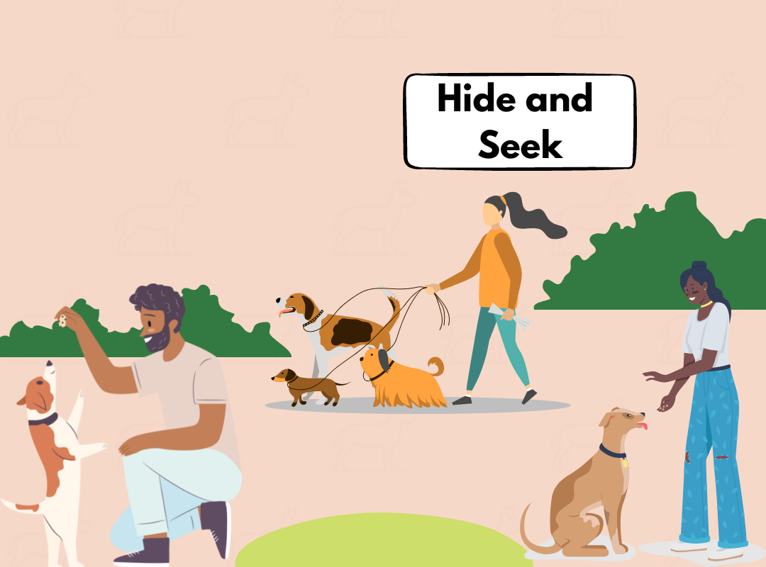 Dog friendly game: Hide & Seek