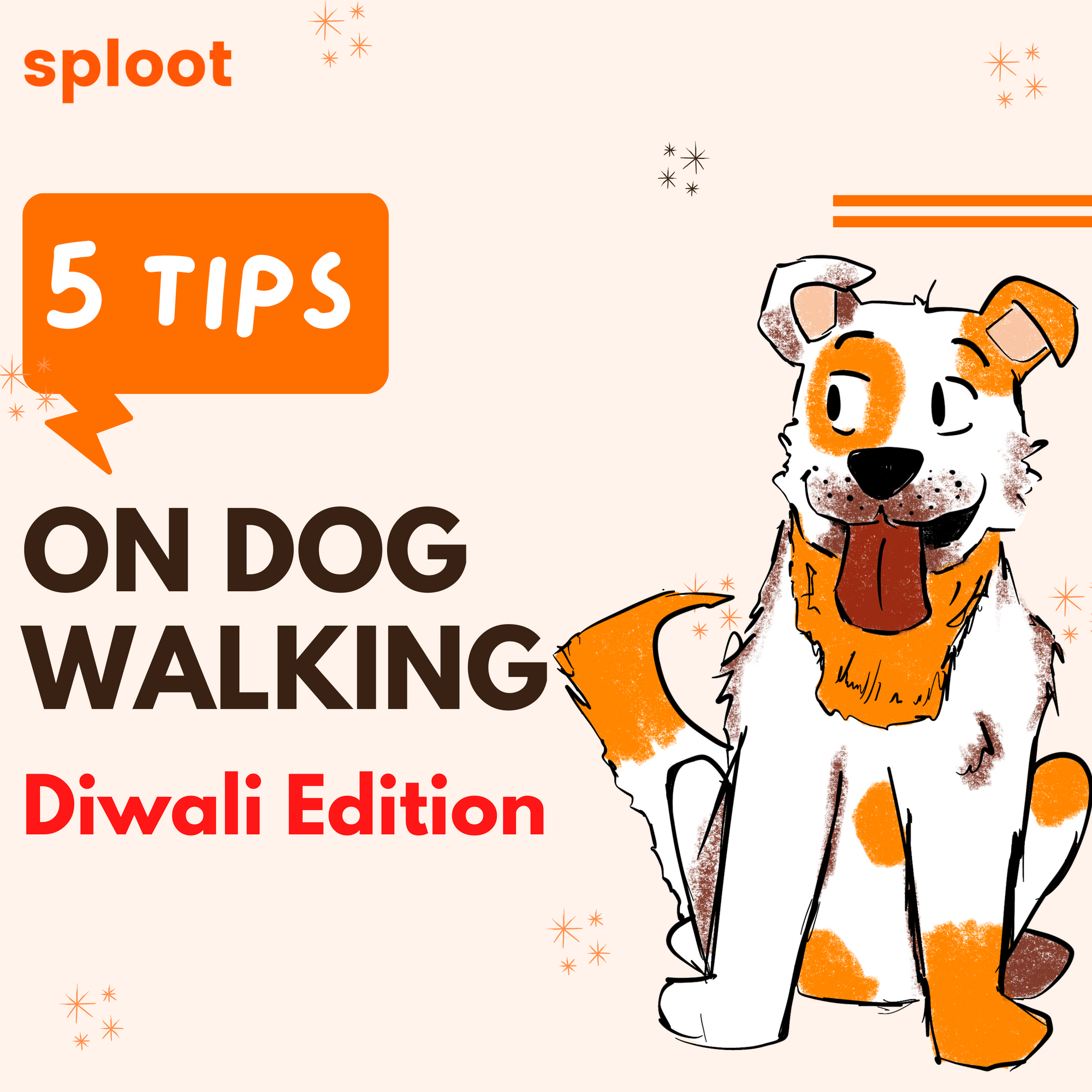 5 Tips on Dog Walking in Diwali -