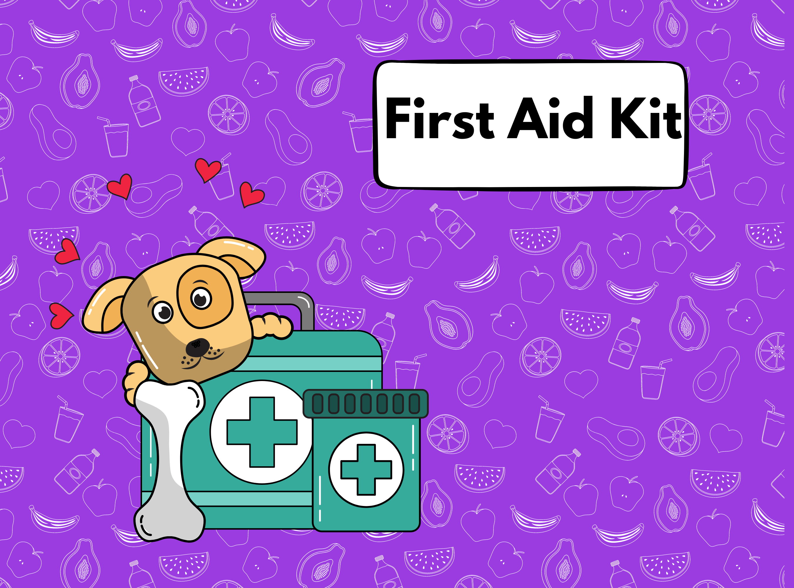 Dog First Aid Kit For Diwali