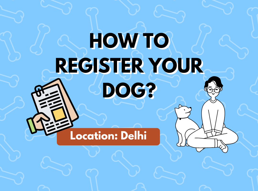 Steps to register your dog in Delhi
