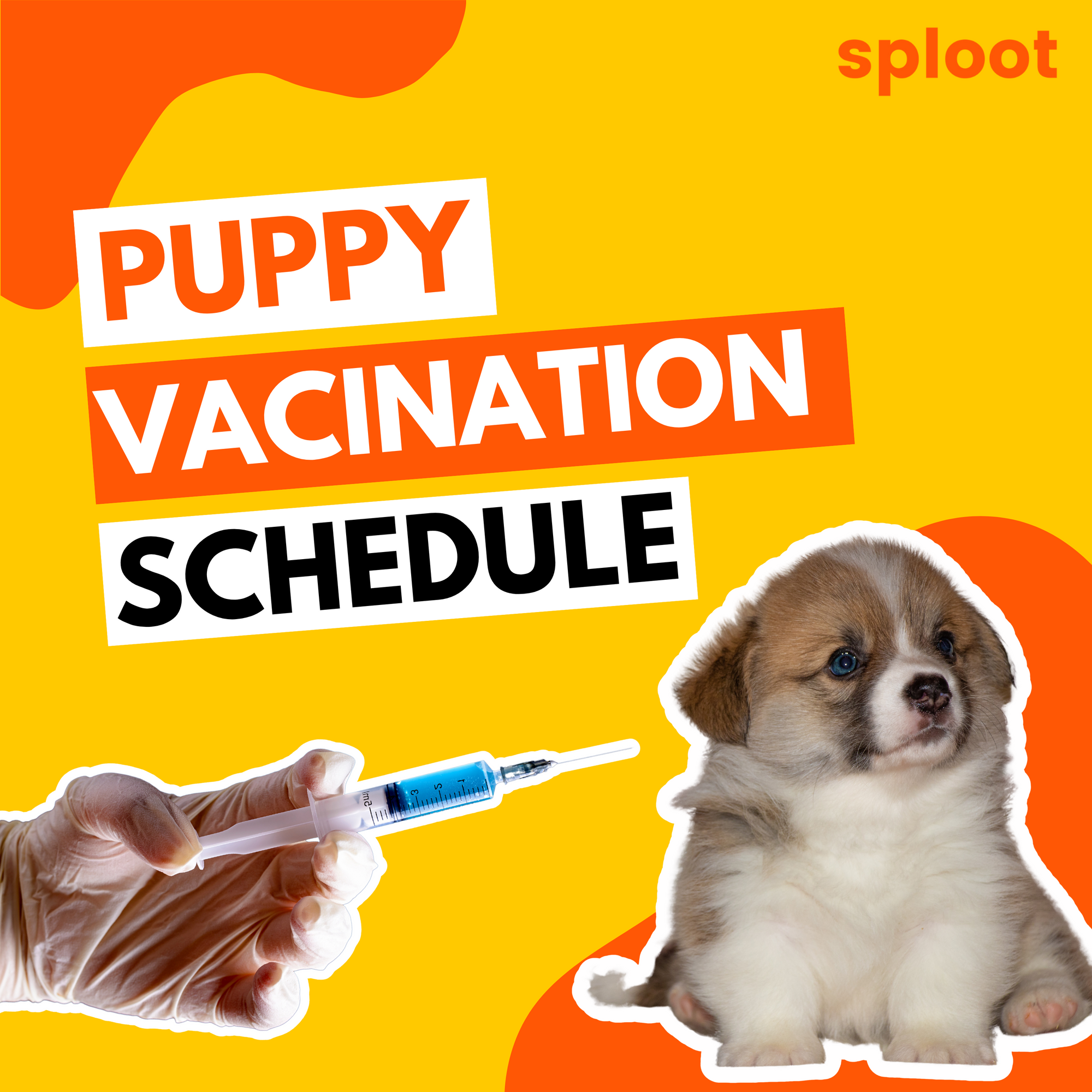 Guide For Puppy Vaccination Schedule: Must-Give Shots