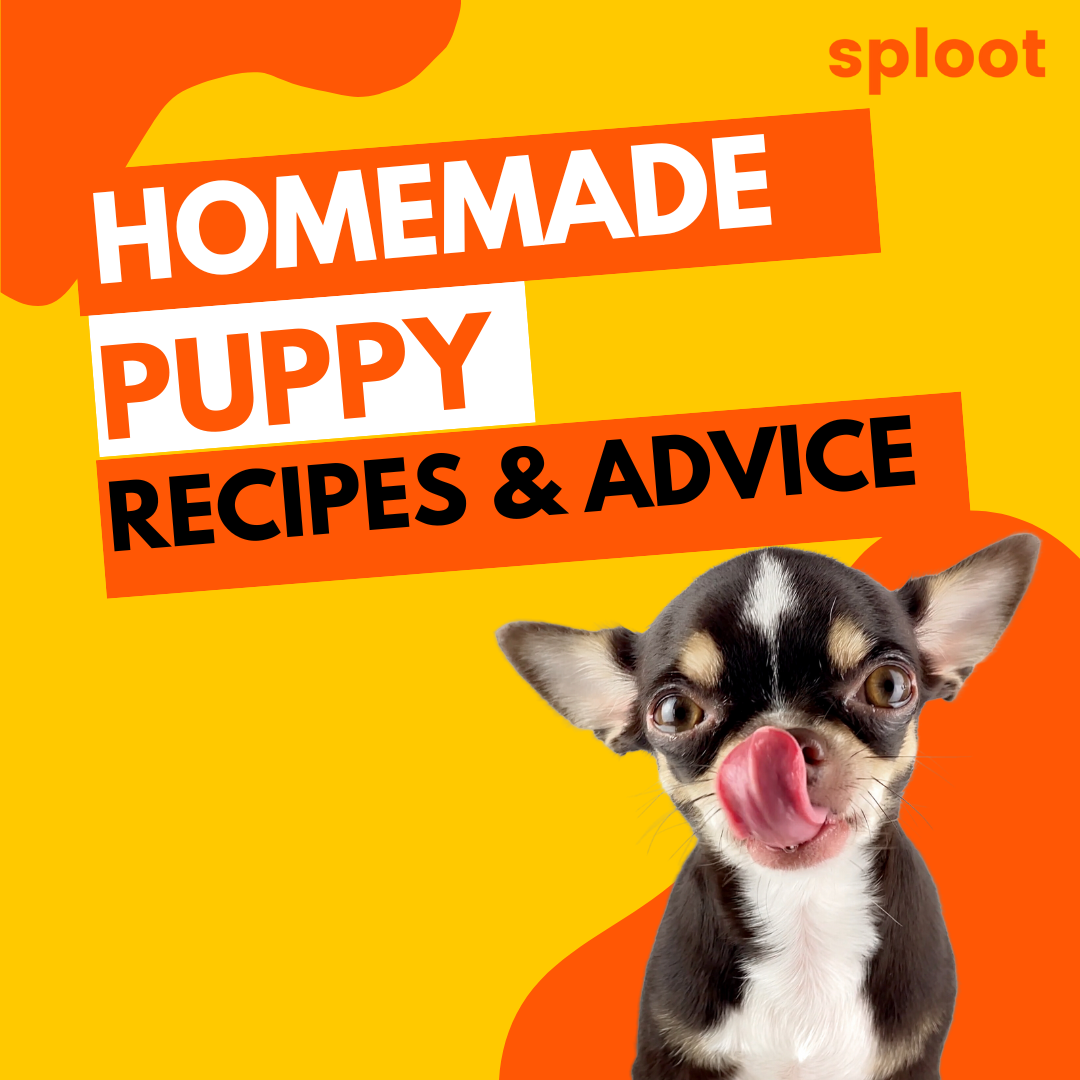 Homemade Puppy Food: Recipes & Advice