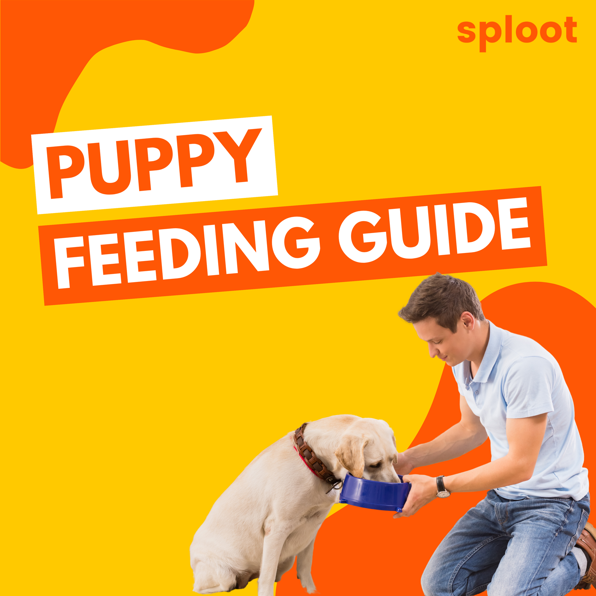 Puppy Feeding Guide with Chart