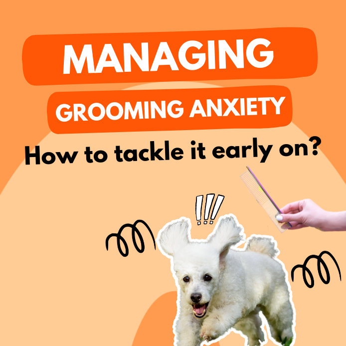 Managing Grooming Anxiety: How To Tackle It Early On