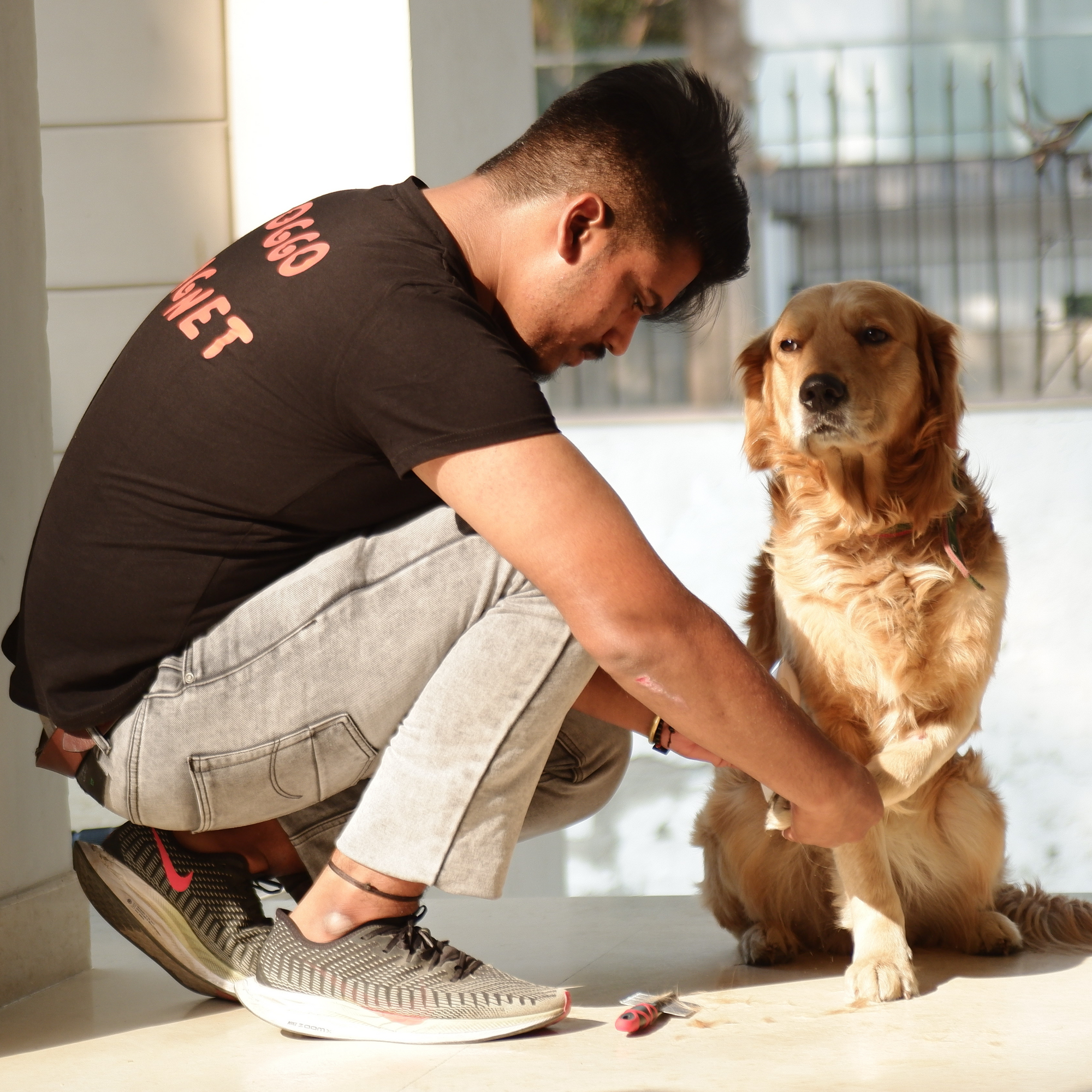 The Benefits of Professional Dog Grooming Services