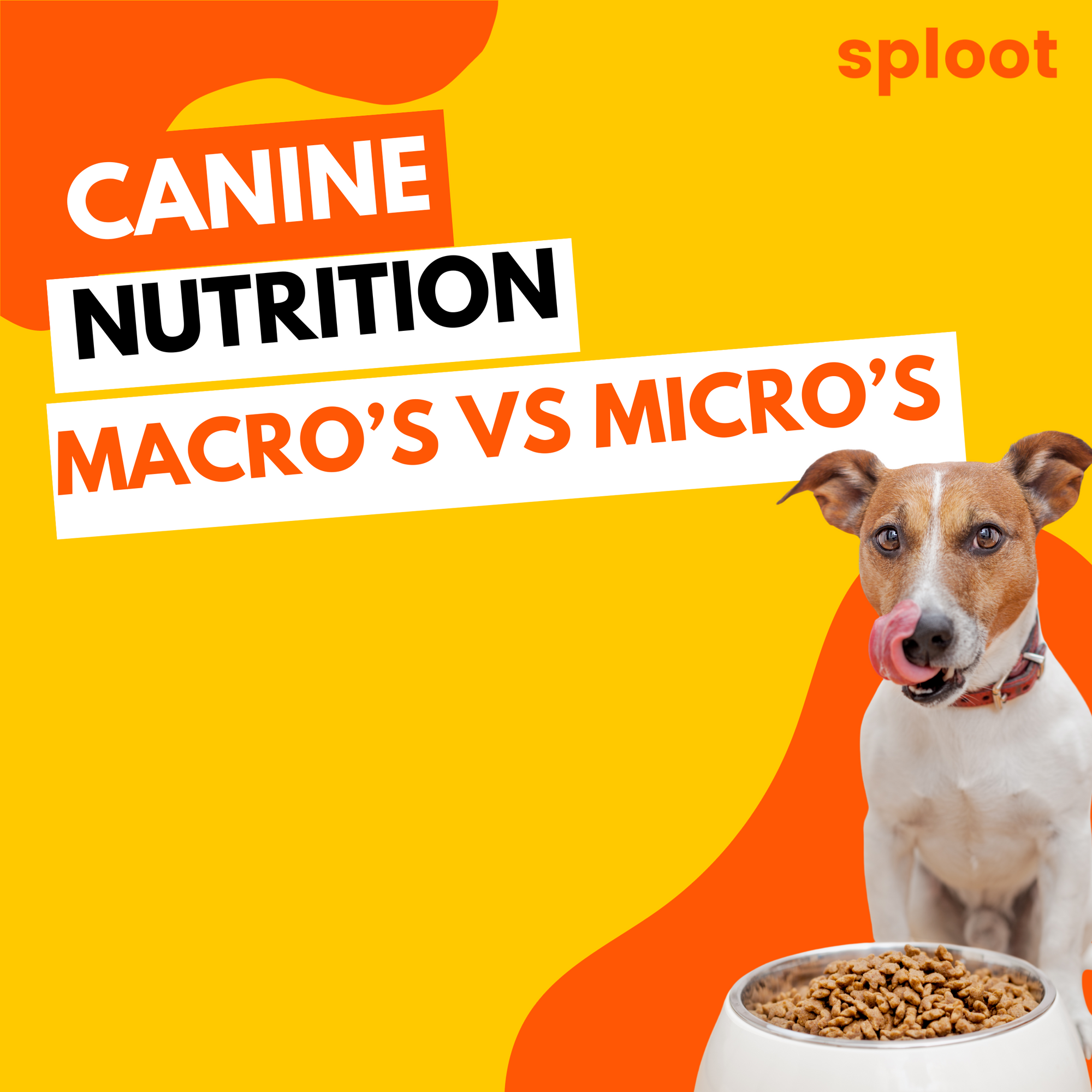 Canine Nutrition: Micro Vs Macros Nutrients