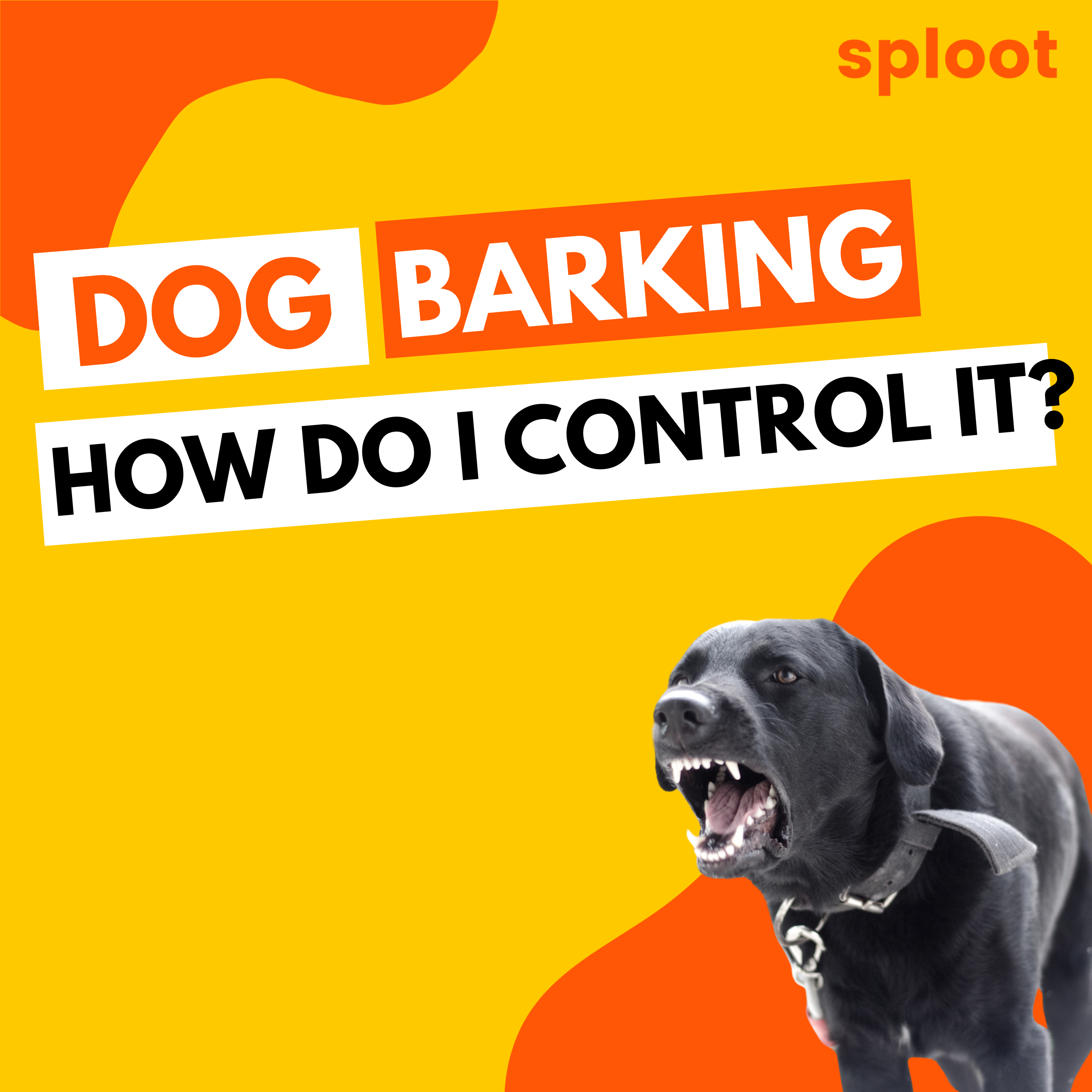 How to Prevent Dog Barking for Home Pets