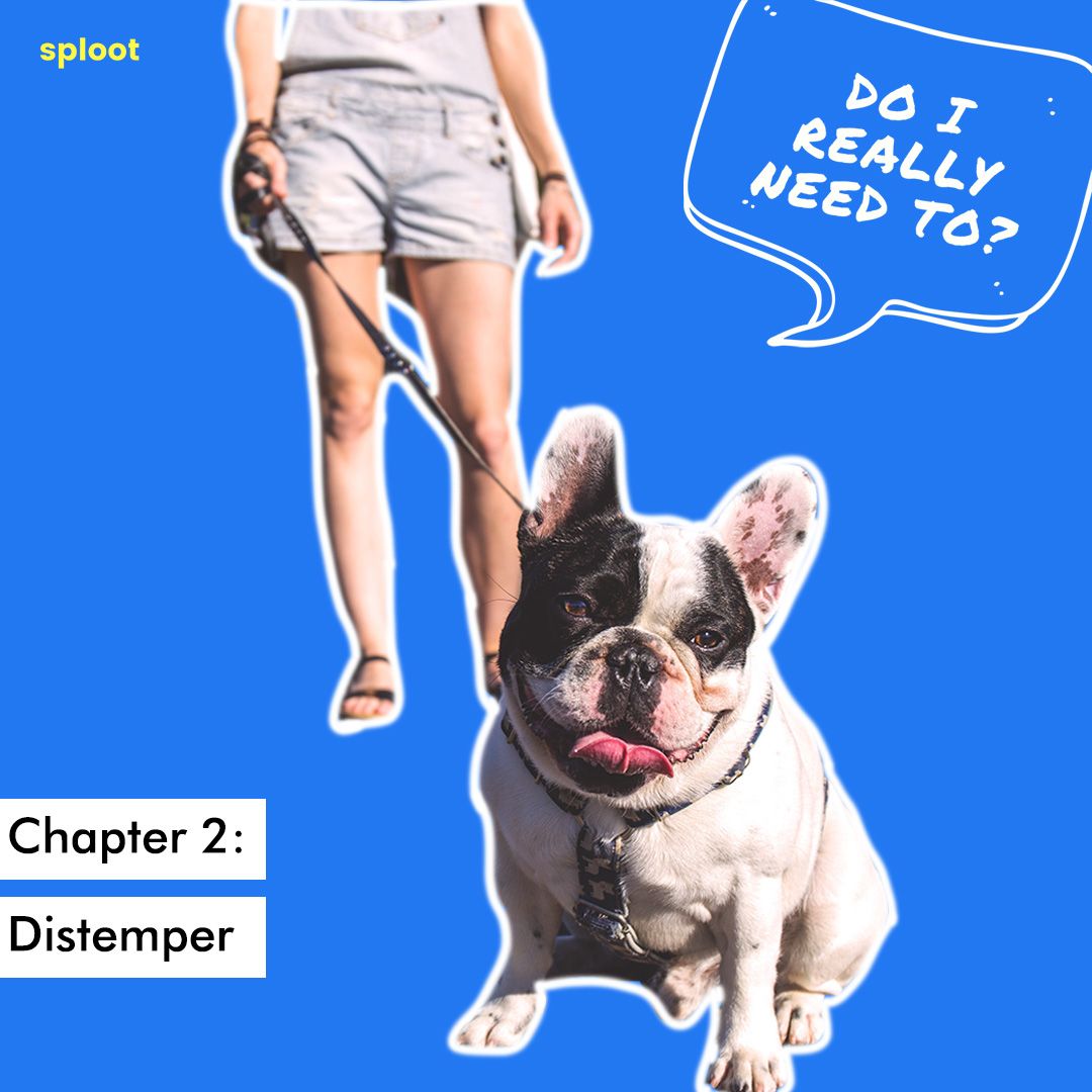 Chapter 2 Distemper