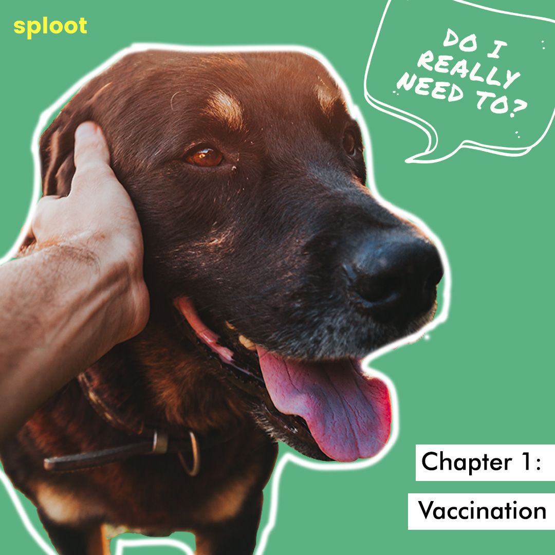 Chapter 1: Vaccination