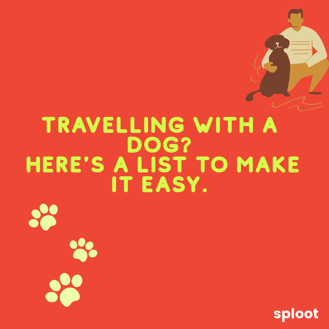TRAVELLING WITH A DOG
