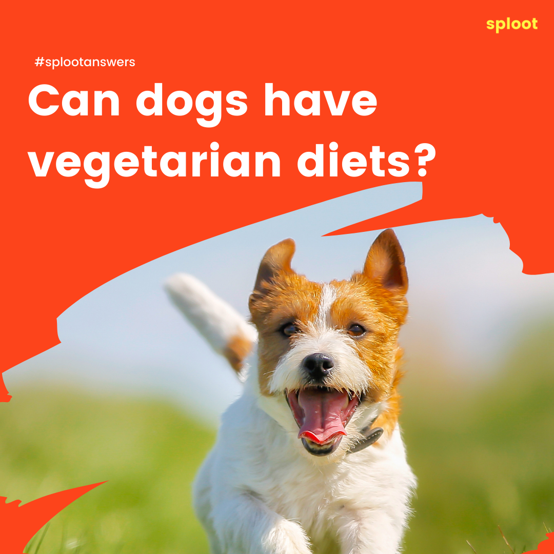 Can Dogs Have Vegetarian Diets?