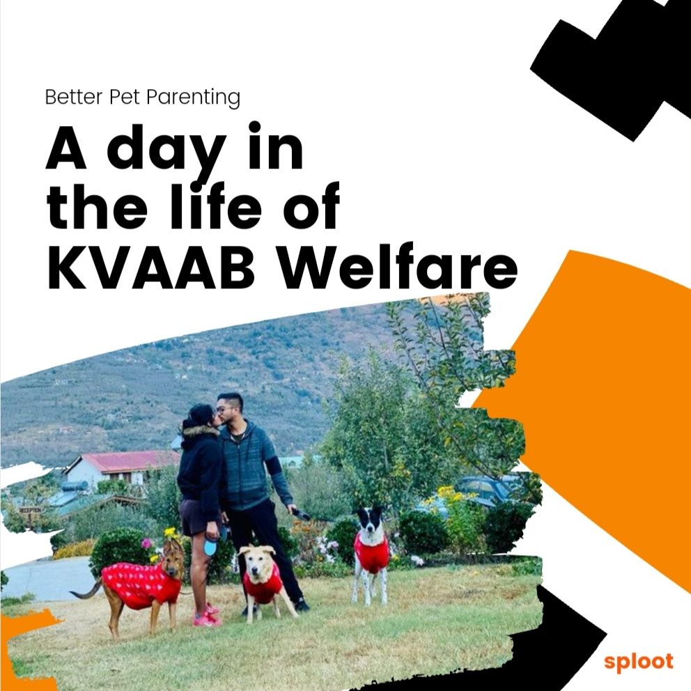A Day in the Life of KVAAB Welfare