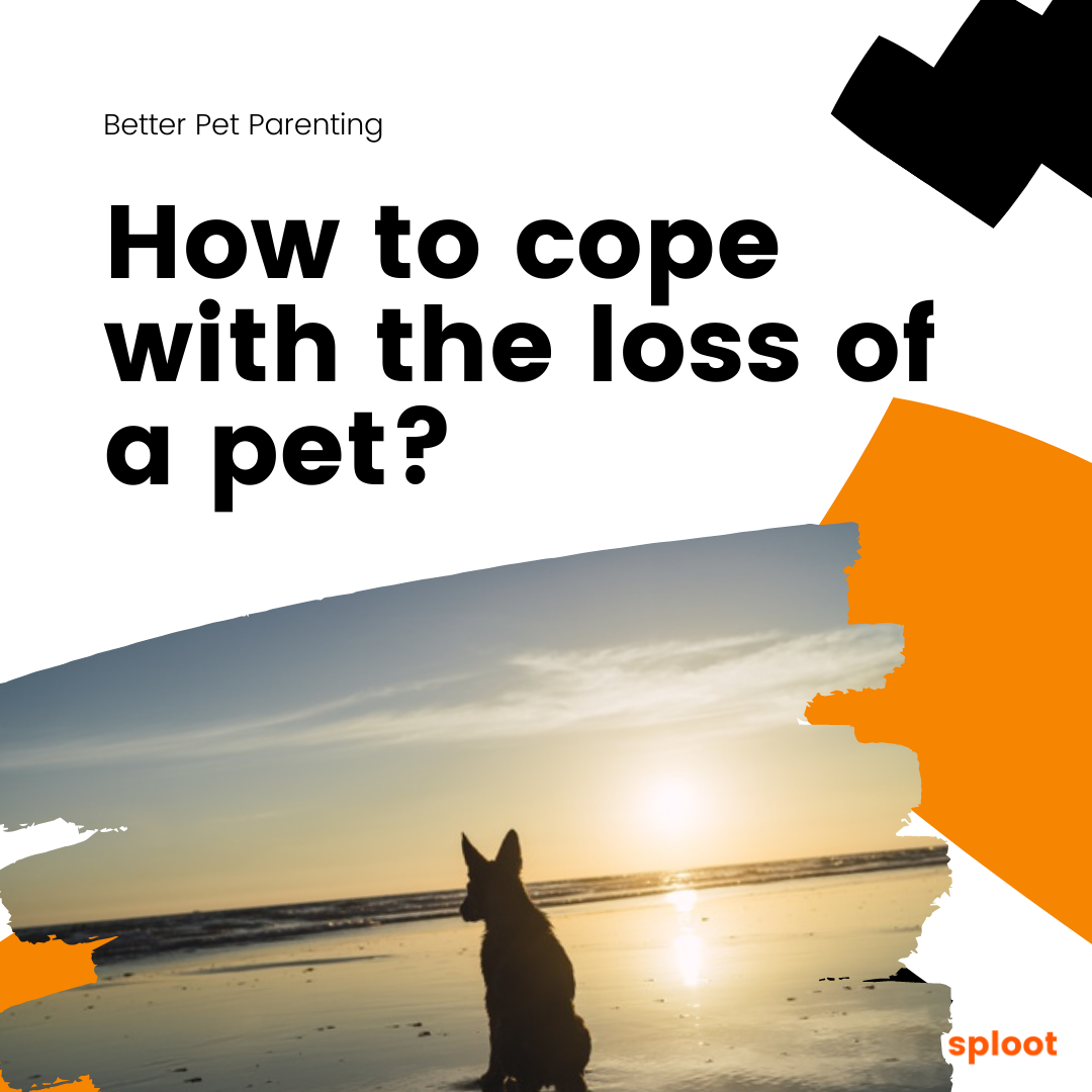 How To Cope With The Loss Of A Pet - Or Help A Friend Who's Lost One