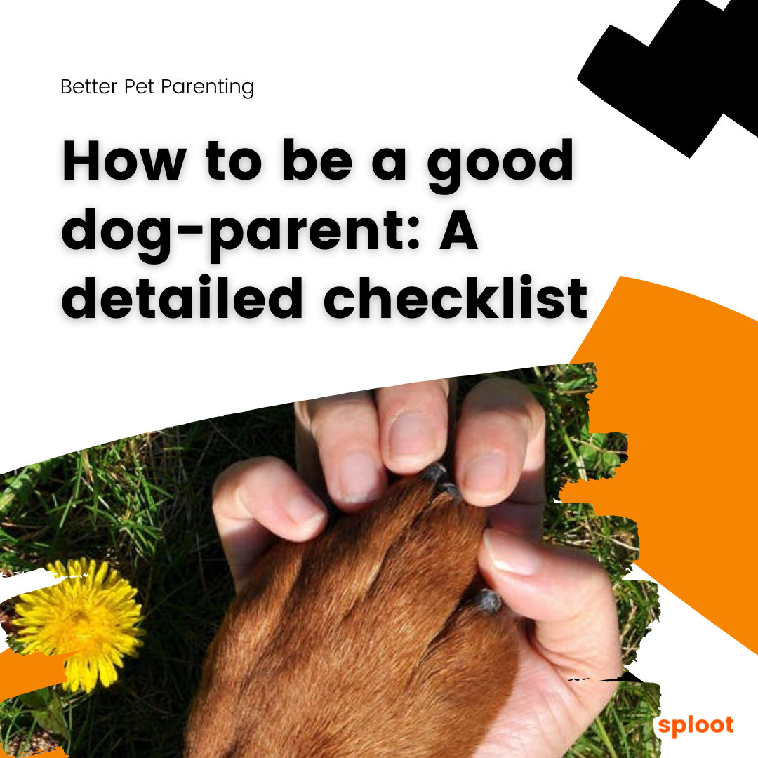 How to be a good dog-parent: A detailed checklist