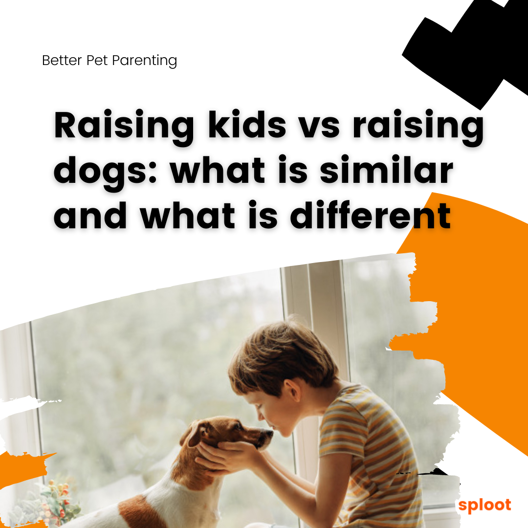 Raising kids vs raising dogs: what is similar and what is different