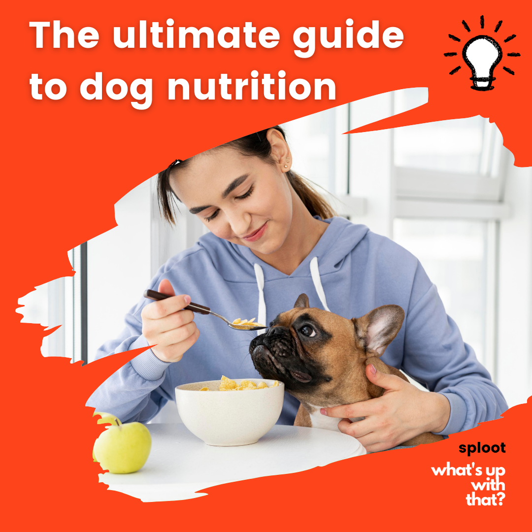The ultimate guide to dog nutrition
