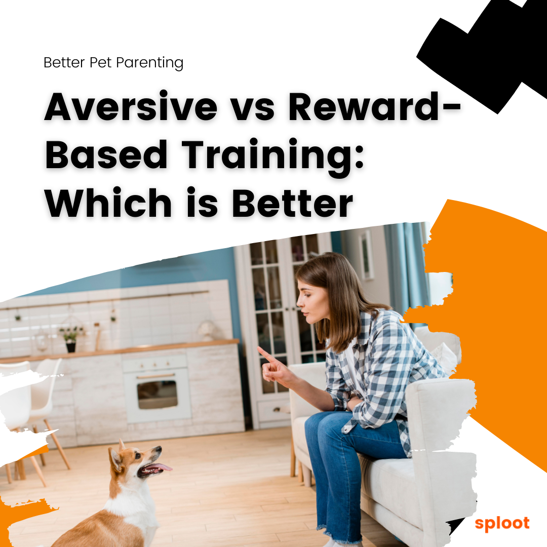 Aversive vs Reward-Based Training: Which is Better For Your Dog