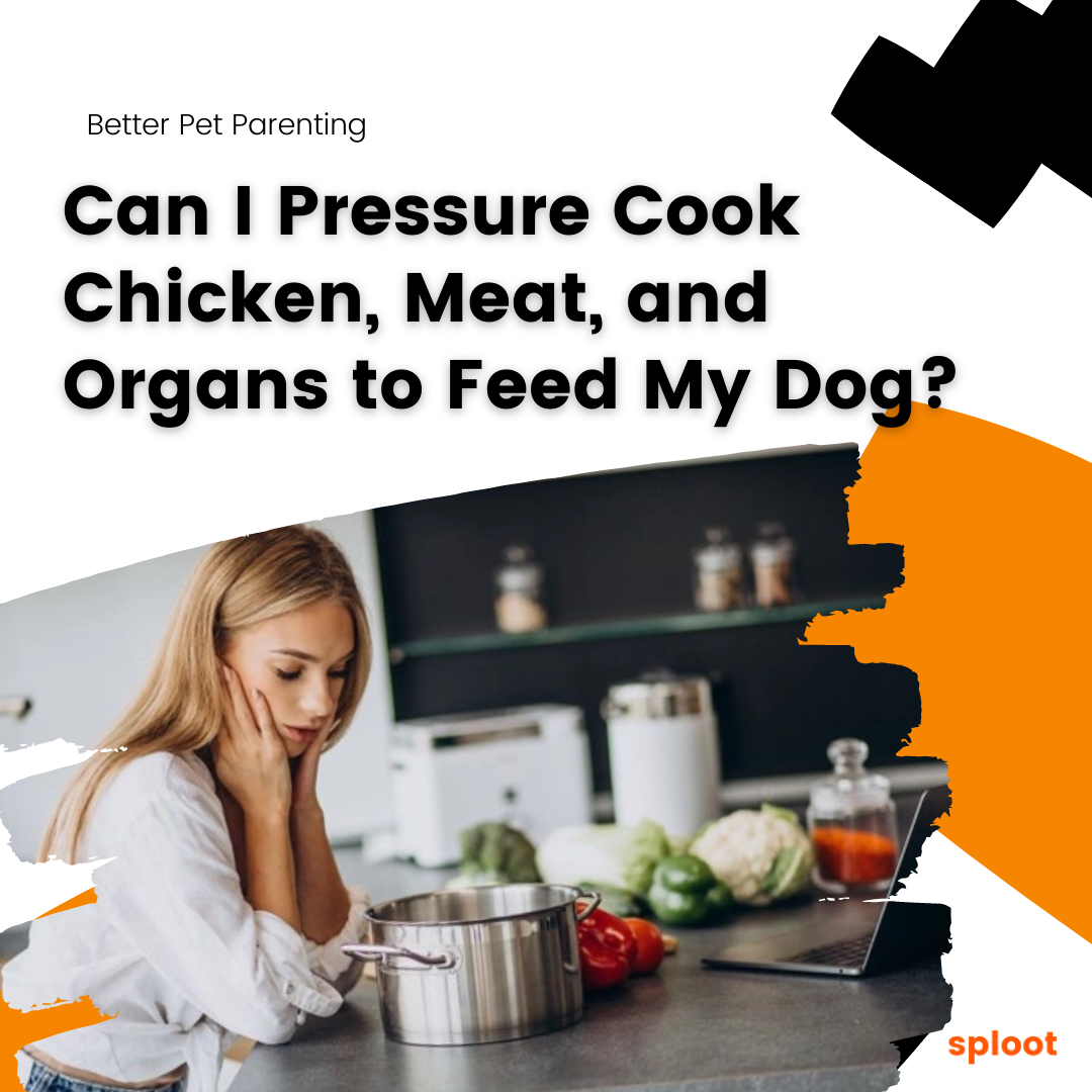Can I Pressure Cook Chicken, Meat, and Organs to Feed My Dog?