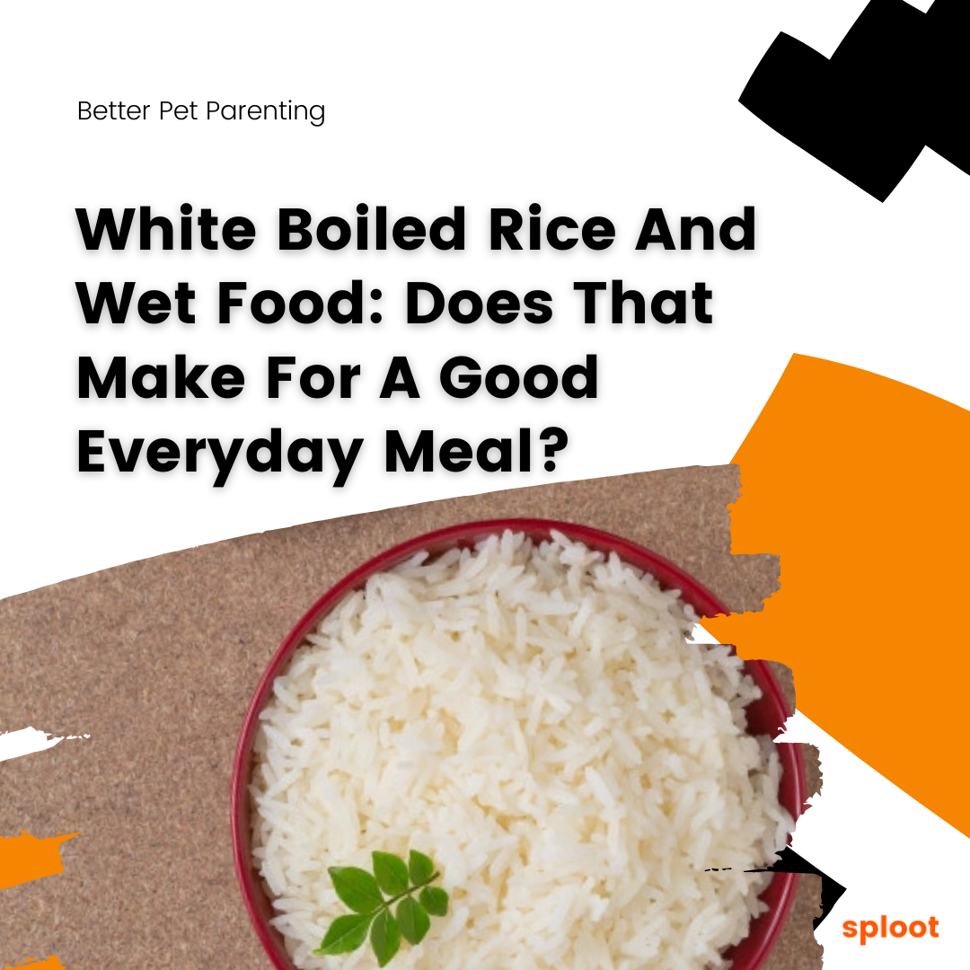 White Boiled Rice And Wet Food: Does That Make For A Good Everyday Meal?