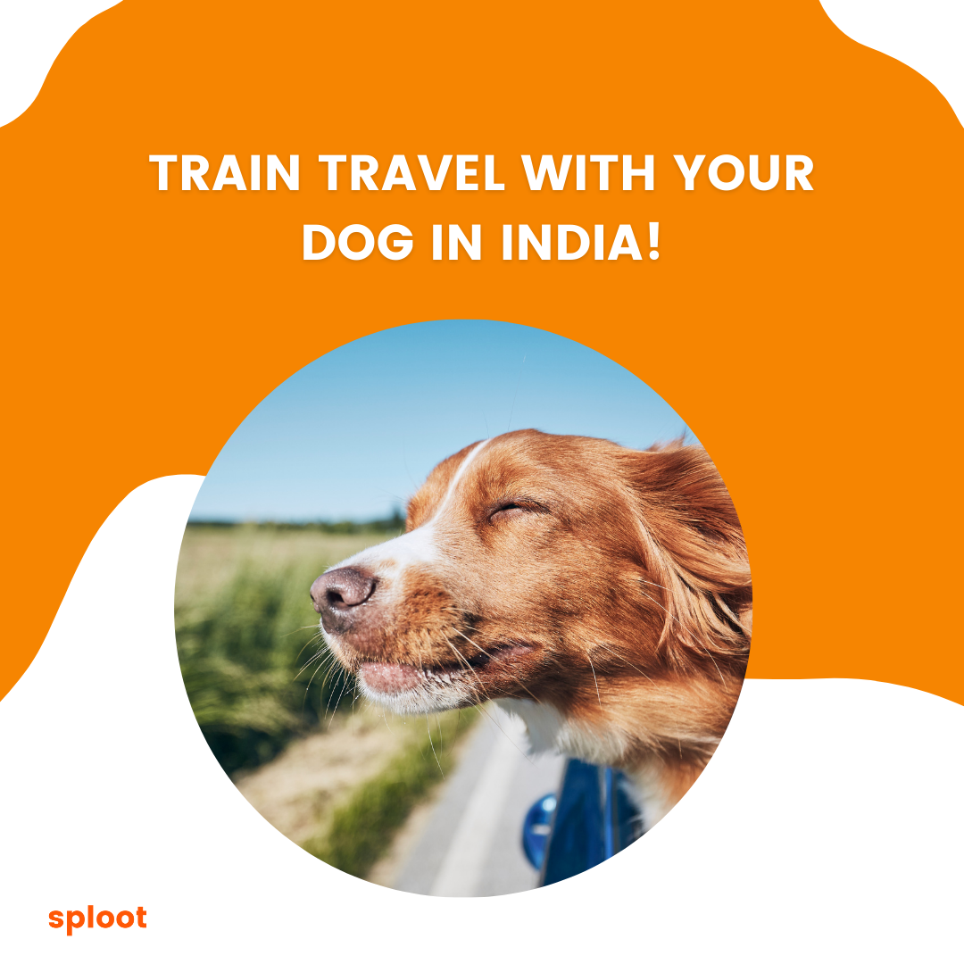 Train travel with your dog in India