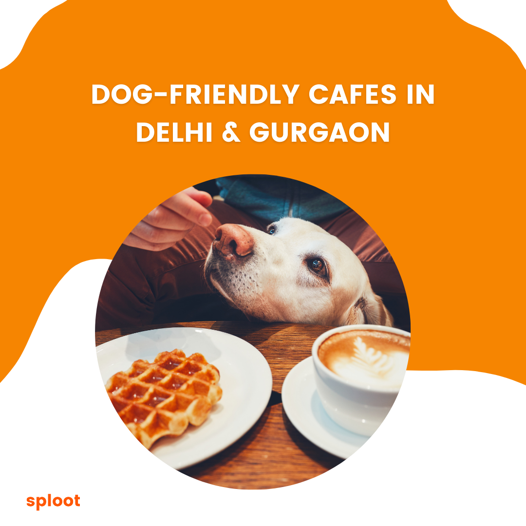 Dog-Friendly Cafes in Delhi & Gurgaon
