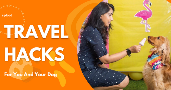 Tiu Hazra’s Tips on Traveling with Dogs