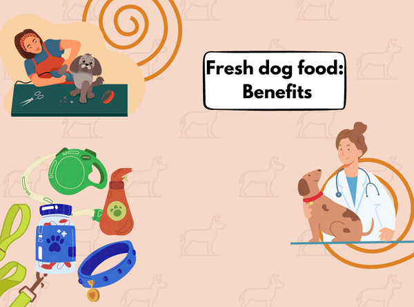 Benefits of Fresh Dog Food