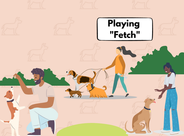 Dog friendly game: Fetch