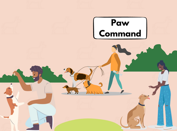 Dog friendly game: Paw Command