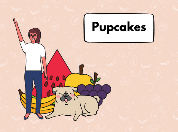 PupCakes - Homemade recipe from sploot Kitchen