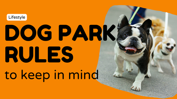 Dog Park Rules: Do's and Don'ts