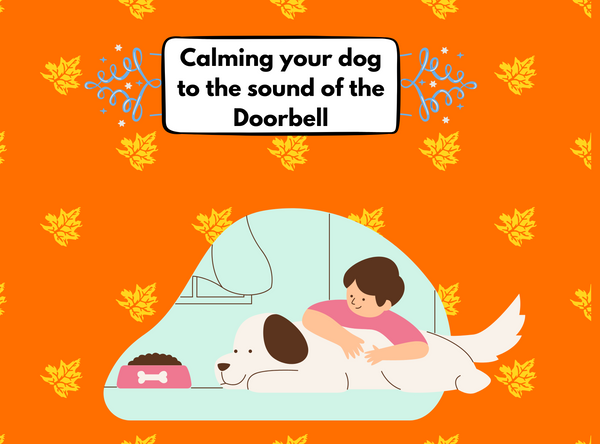 How to Calm Your Dog When the Doorbell Rings