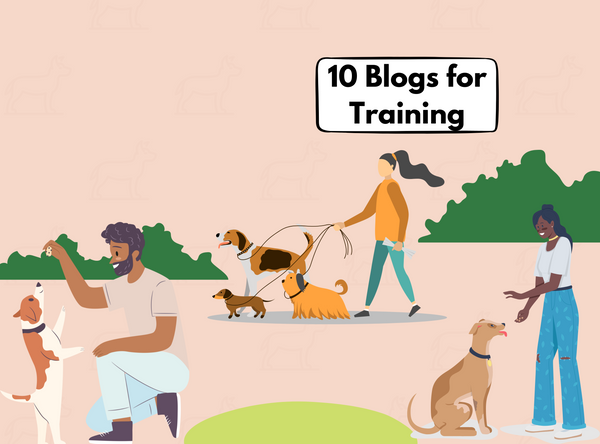 10 Must Read Blogs on Dog Training