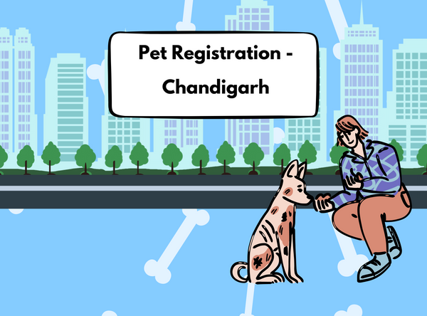 Pet registration process in Chandigarh
