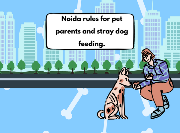 Noida rules for pet parents and stray dog feeding.