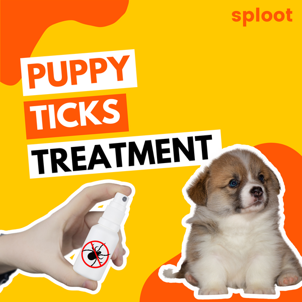 Puppy Tick Treatment and Prevention: Protection At Home