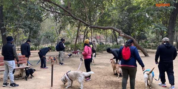 Explore the history of Hauz Khas Deer Park in Delhi with your dog