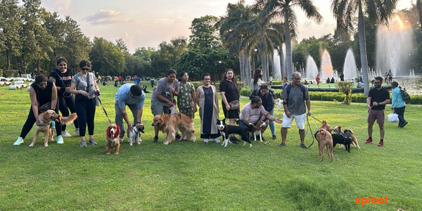 Dog parents having fun on a walk in Nehru Park with their dogs in Delhi NCR.