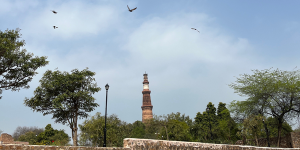 Wagging Through History: A guide to taking Your Dog to Mehrauli Archaeological Park, Delhi