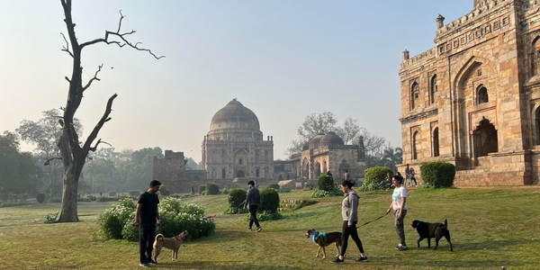 Lodhi Garden Guide for Dog Parents in Delhi NCR