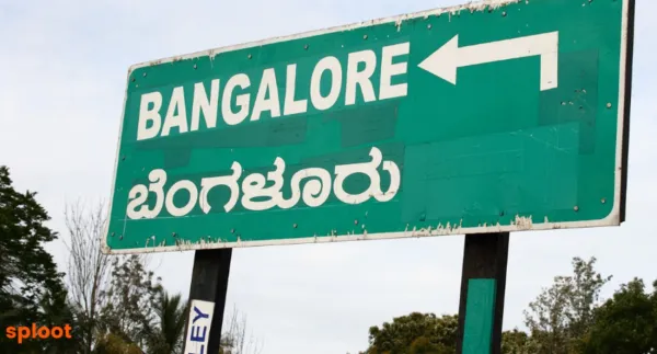 A Comprehensive Guide to Dog Licenses and Registration in Bangalore