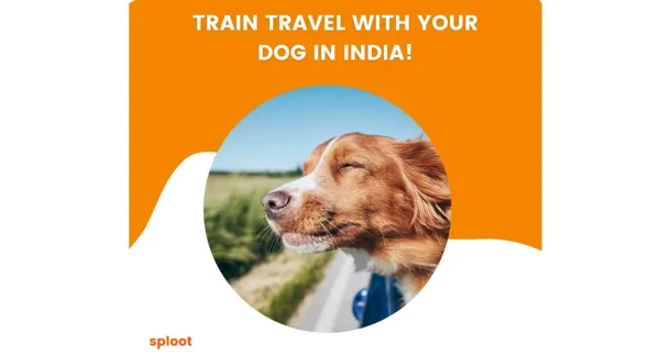 Train travel with your dog in India