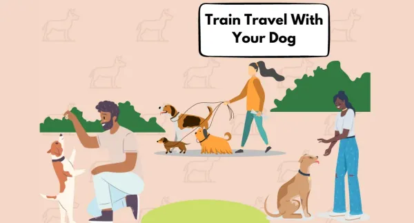 Ultimate Guide on Train Travel With Your Dog