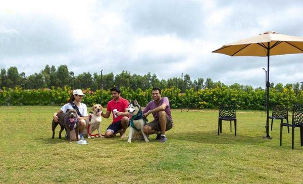 8 Best Dog-Friendly Hotels in Bangalore