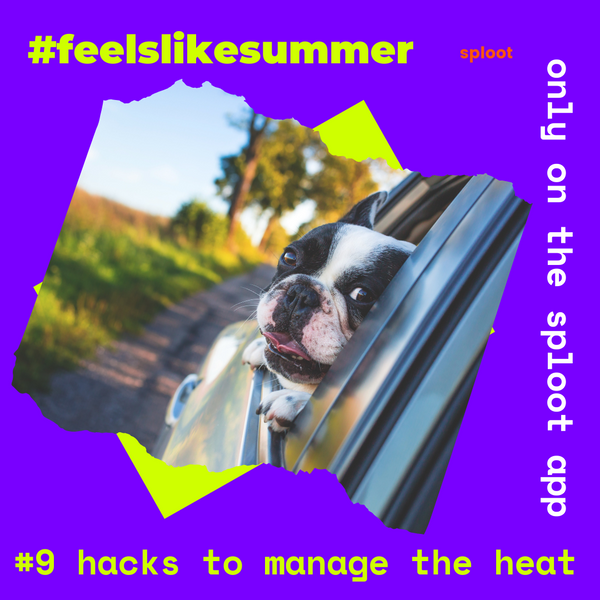 Summer Hacks: Top 6 Ways You Can Make Your Dog Comfy