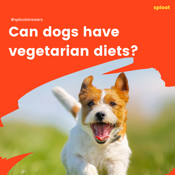Can Dogs Have Vegetarian Diets?